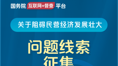 扒开美女粉嫩的逼国务院“互联网+督查”平台公开征集阻碍民营经济发展壮大问题线索